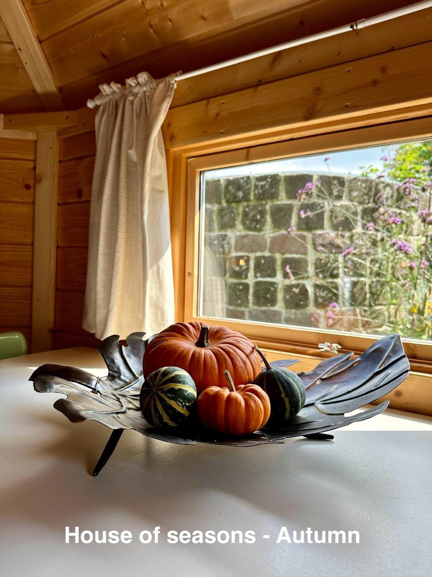 B&B Cosy Garden Alblasserdam 客房 照片