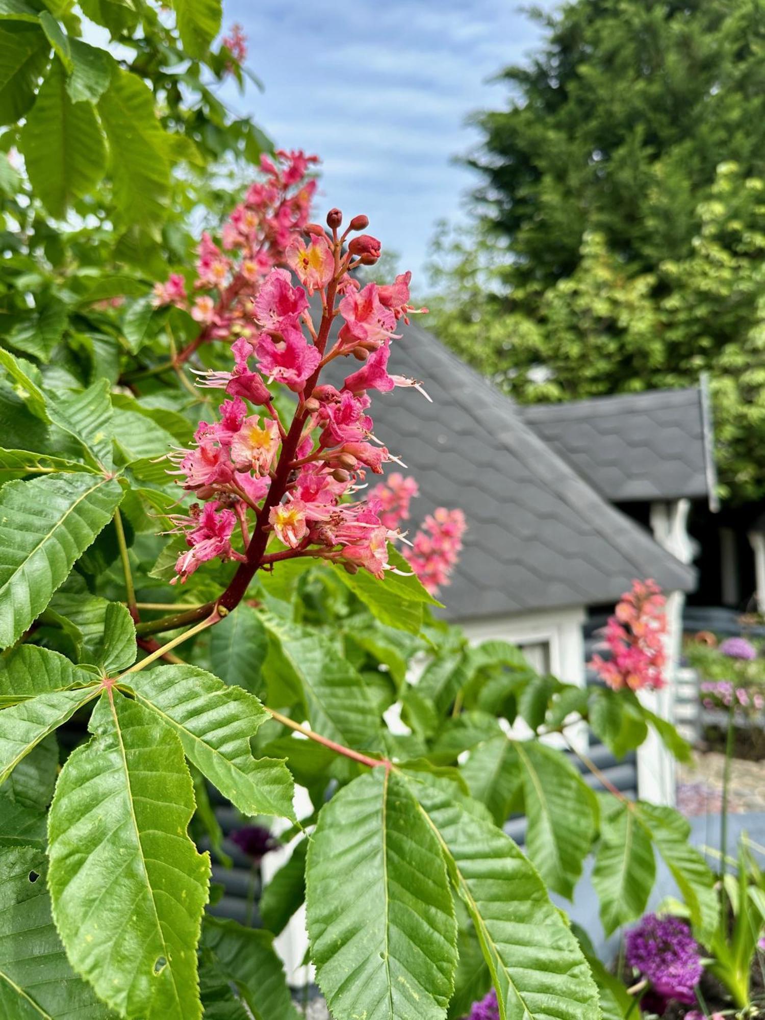 B&B Cosy Garden Alblasserdam 外观 照片